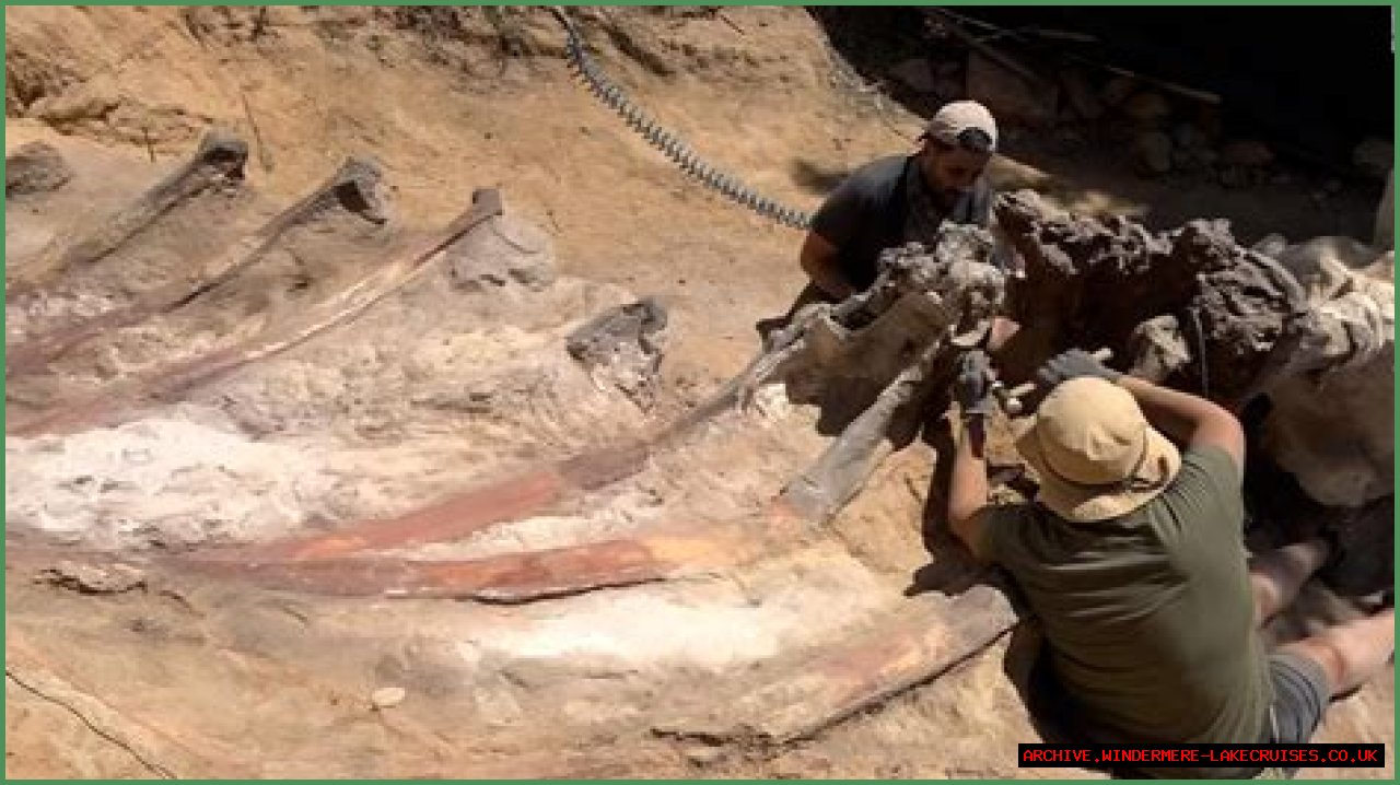 Digging Deep Into The Abby Berner Leaks: Uncovering Secrets And Consequences